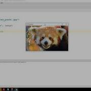 Загрузка изображений OpenCV 3 4 с Python 3 Учебное пособие 1
