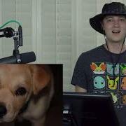 REUPLOAD Intro To TheOdd1sOut Reacts To Teens React To TheOdd1sOut