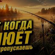 12 ошибок из за которых ты летом сидишь без улова