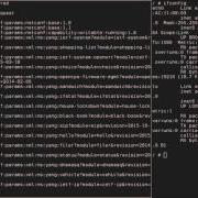 Configctl And Netconf Docker Image Showcase