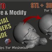 Essential Guide To Start Editing Your STL 3D SCAN Models For 3D Printing