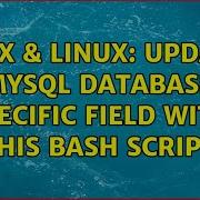 Unix Linux Update Mysql Database Specific Field With This Bash Script