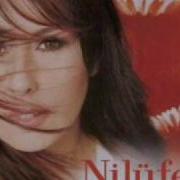 Nilüfer Of Aman Aman