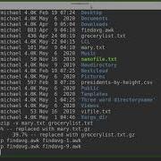 Linux Command Line 46 Gzip