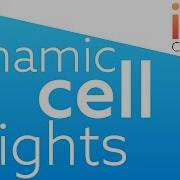 Make Dynamic Cell Heights IOS Swift 4 How To Within A Minute