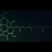 Procedural Tree Generation