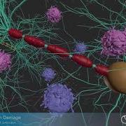 Myelin Sheath Damage Thinking Particles Scientific Medical VFX