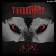Through Fire Breaking Point