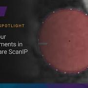2D Contour Measurements In Simpleware ScanIP Synopsys
