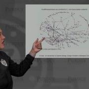 NanoHUB U Biodesign L3 5 Gene Circuits Feed Forward Loops I