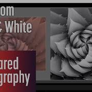 Editing Infrared To B W With Lightroom