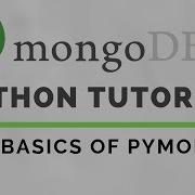 Python MongoDB Tutorial Using PyMongo
