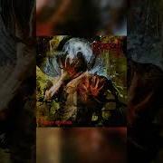 GRUESOME Condemned Identity SILENT ECHOES 2025