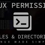 Linux Basic Permissions