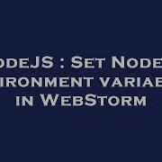 NodeJS Set Node Js Environment Variables In WebStorm