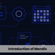 Introduction Of Mendix PROLIM