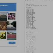 Automatic CAPTCHA Solving Of Google S Latest ReCAPTCHAs With The Help Of The Clarifai API
