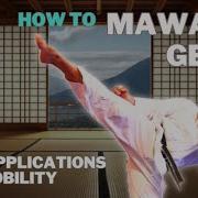 How To Mawashi Geri Roundhouse Kick Tips Applications Mobility