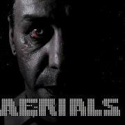 AERIALS SOAD RAMMSTEIN Style AI German Cover