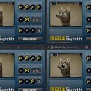 Resonance MeowSynth 66 Speed