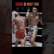 Elbow Is Muay Thai Muaythai Mma Martialarts Fighter