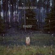 Brand New At The Bottom HD