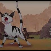Pusher Warrior Cats Animation Tribute