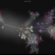 Blender Source Visualization Gource