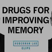 Medications That May Improve Memory Brain Function Dr Mark D Esposito Dr Andrew Huberman