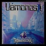 Tridimensional Vamonos