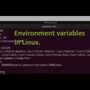 Environment Variables In Linux
