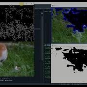 Object Detection And Tracking Using Trackbars OpenCV And Python