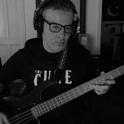 Whirl Soft Kill Bass Cover
