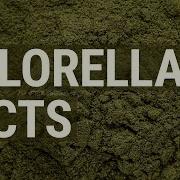 What Is Chlorella And Why Should You Take It