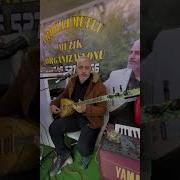 Ardıllı Mutlu Koparma Gülleri Boşa Ve Uzun Hava