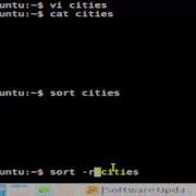 Sort Command In Linux Shell Terminal