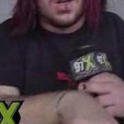 Under The Skin Seether