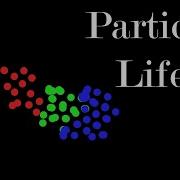 The Emergent World Of Particle Life Clusters Interaction Matrices And Digital Complexity