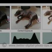 Grayscale And Histogram AYPDIM
