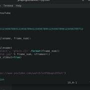 Download YouTube Video And Extract Frames Using Python