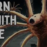 Prehistoric Creatures You Re Glad Are Extinct