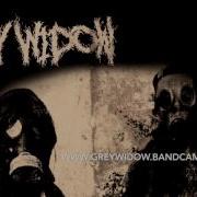 Grey Widow Obey Leechmilk Cover