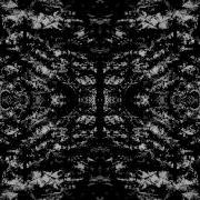VILDHJARTA Dimman New Track