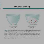 Cognitive Psychology Chapter 13 Lecture