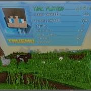 Track Your Player Stats Mod In Minecraft