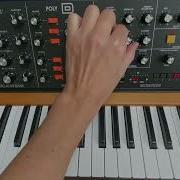 Behringer Poly D Polyphonic Sequencer Tutorial