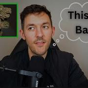 The Creep Effect Of Weed Addiction Why I Quit