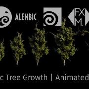 Realistic Tree Grow 3d Model Procedural HIP Setup Alembic Files Animated