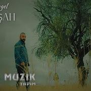 Ali Şah Döngel 2021