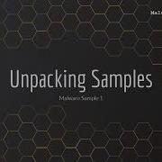 1 Unpacking Malware Samples